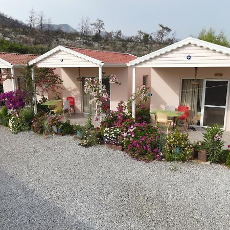 Milas Yelken Bungalov B&B 외부 사진