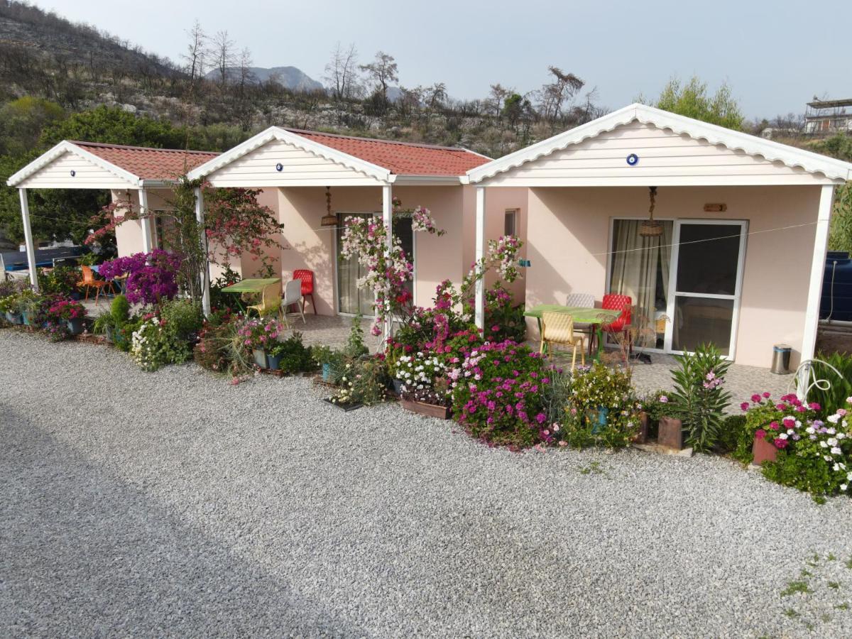 Milas Yelken Bungalov B&B 외부 사진