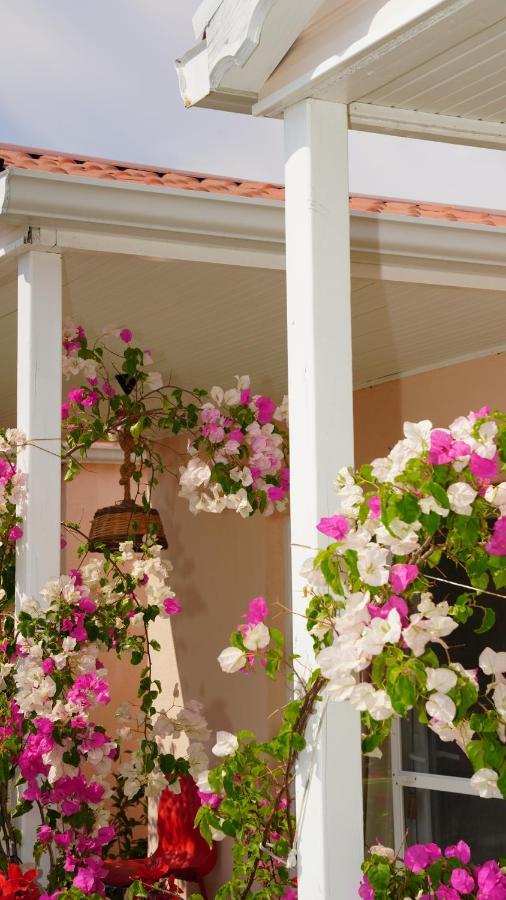 Milas Yelken Bungalov B&B 외부 사진