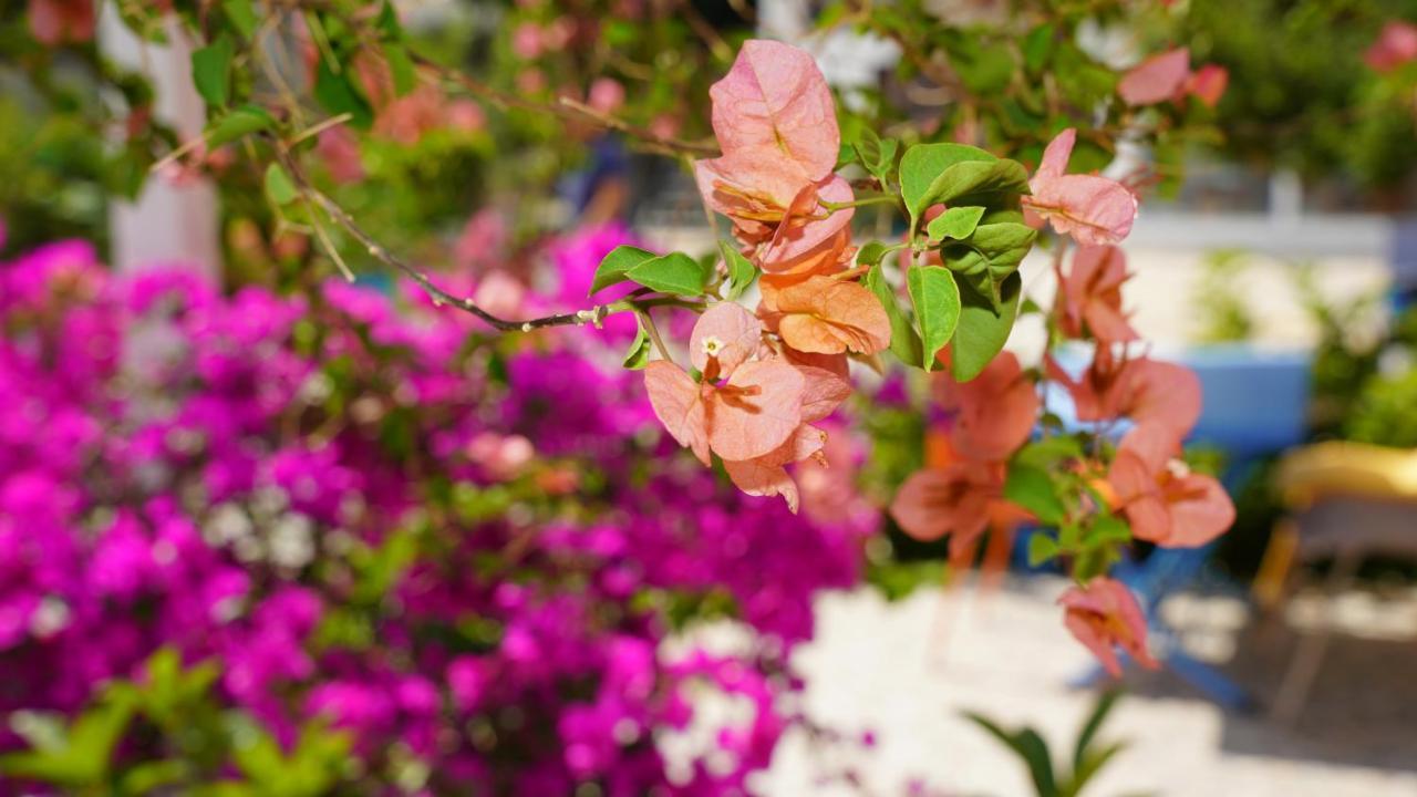 Milas Yelken Bungalov B&B 외부 사진